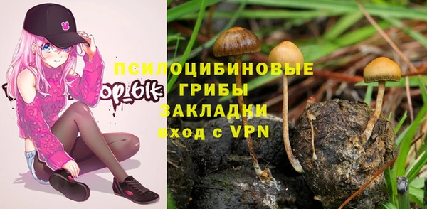 прущая мука Балахна