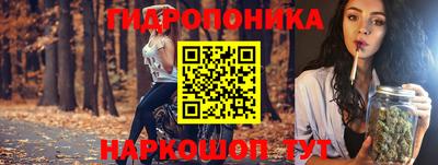 индика Ангарск
