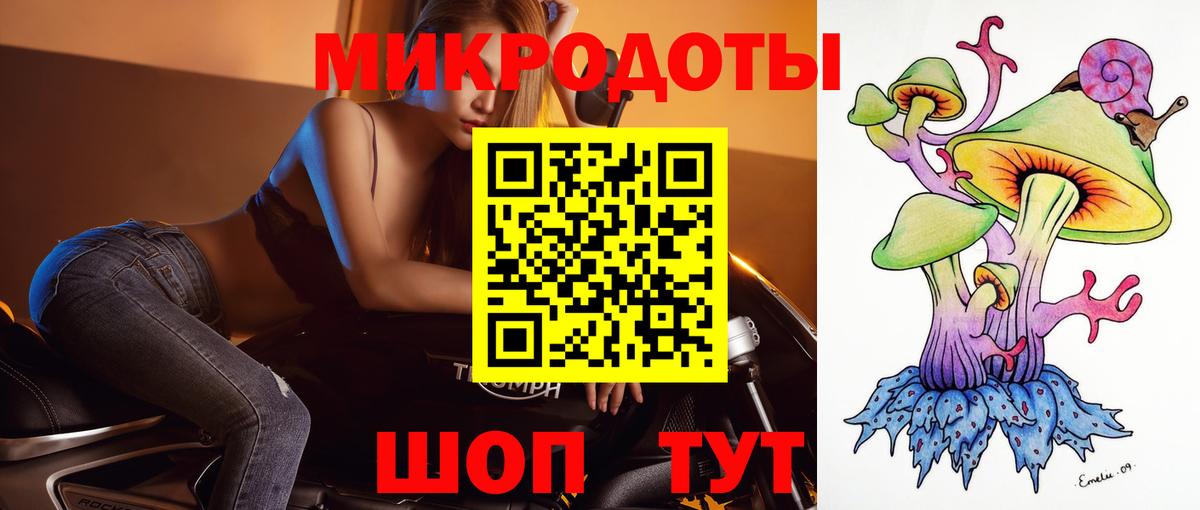 Галлюциногенные грибы Psilocybe Каспийск