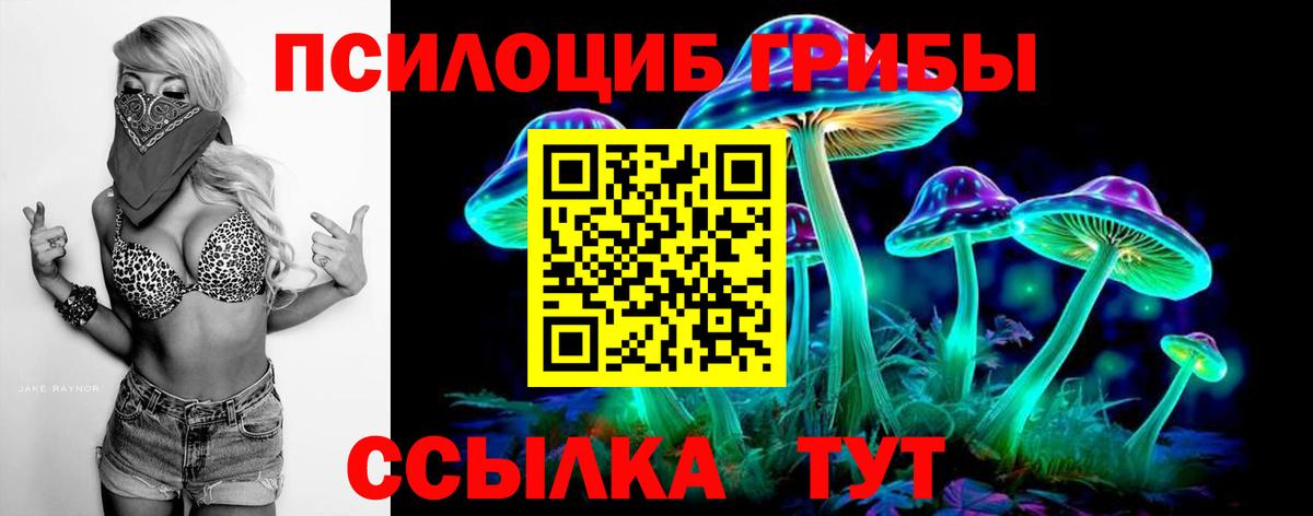Каспийск  Псилоцибиновые грибы Cubensis  купить наркоту  Вход с VPN 